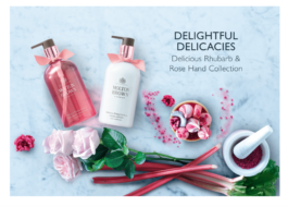 Alix Connolly | UX Writing and Content Design